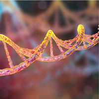 Coeliac Disease Gene Test