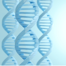 MTHFR Gene Test