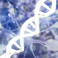 Nutrigenomic test