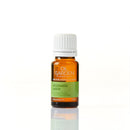 Oil Garden Aromatic Spice | 12ml - Melbourne Natural