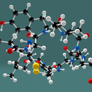 Test - Thyroid Profile - Basic (#1113) (Nutripath)(SST Serum)