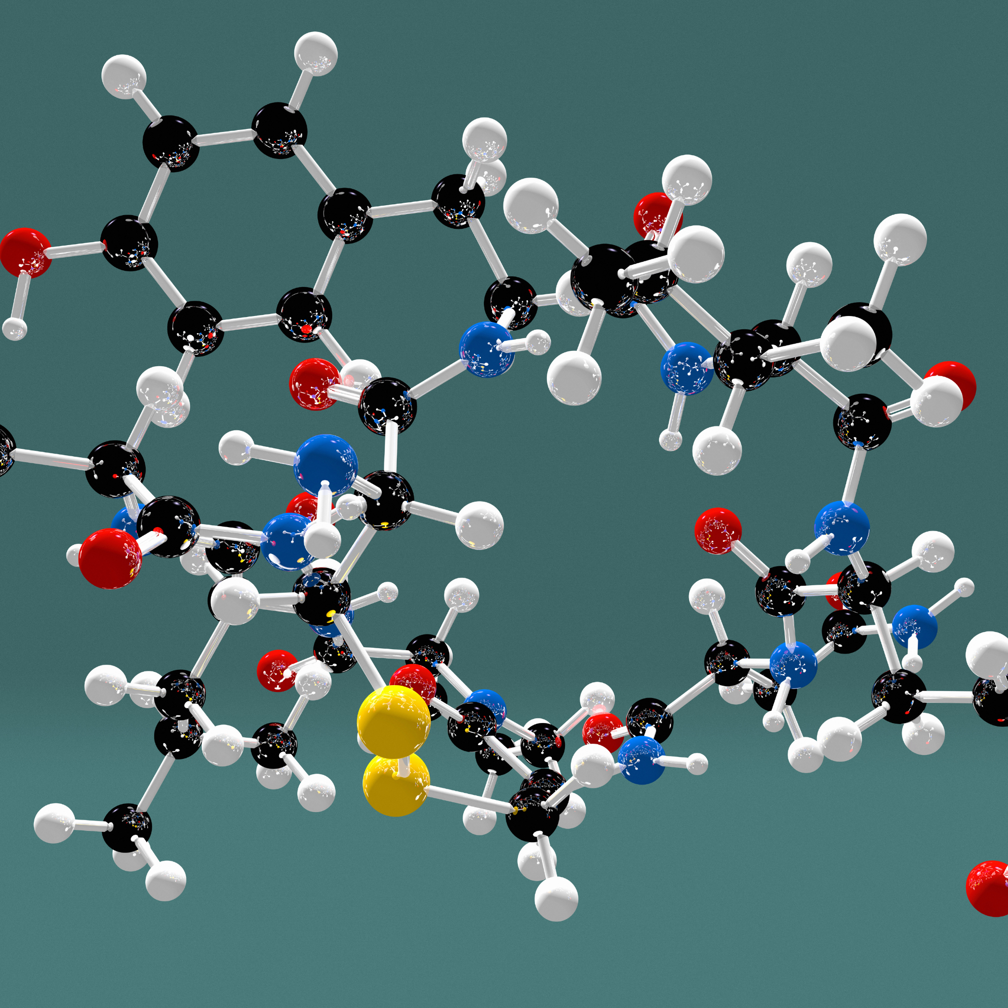 Test - Thyroid Profile - Basic (#1113) (Nutripath)(SST Serum)