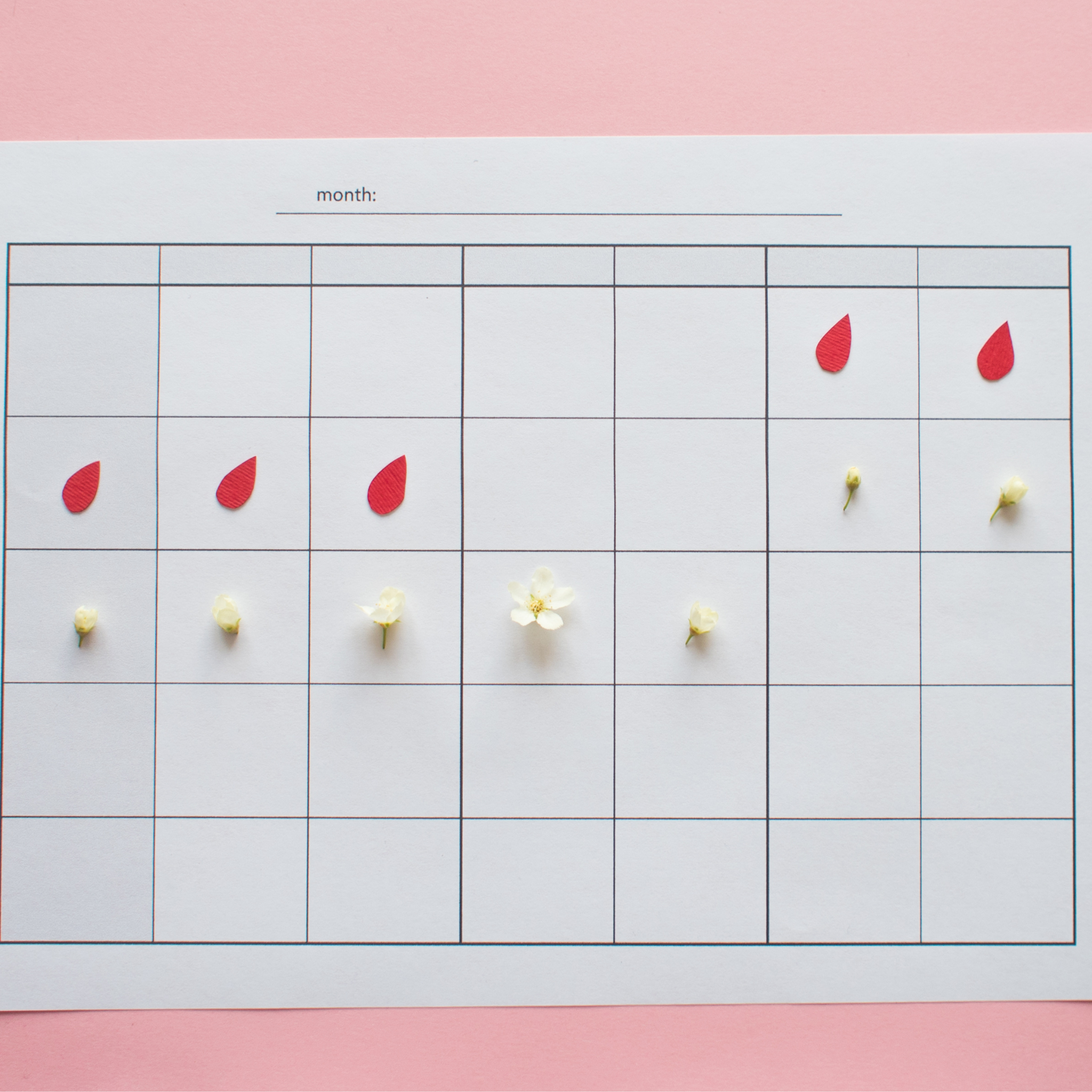 Female Cycle  Hormone Profile