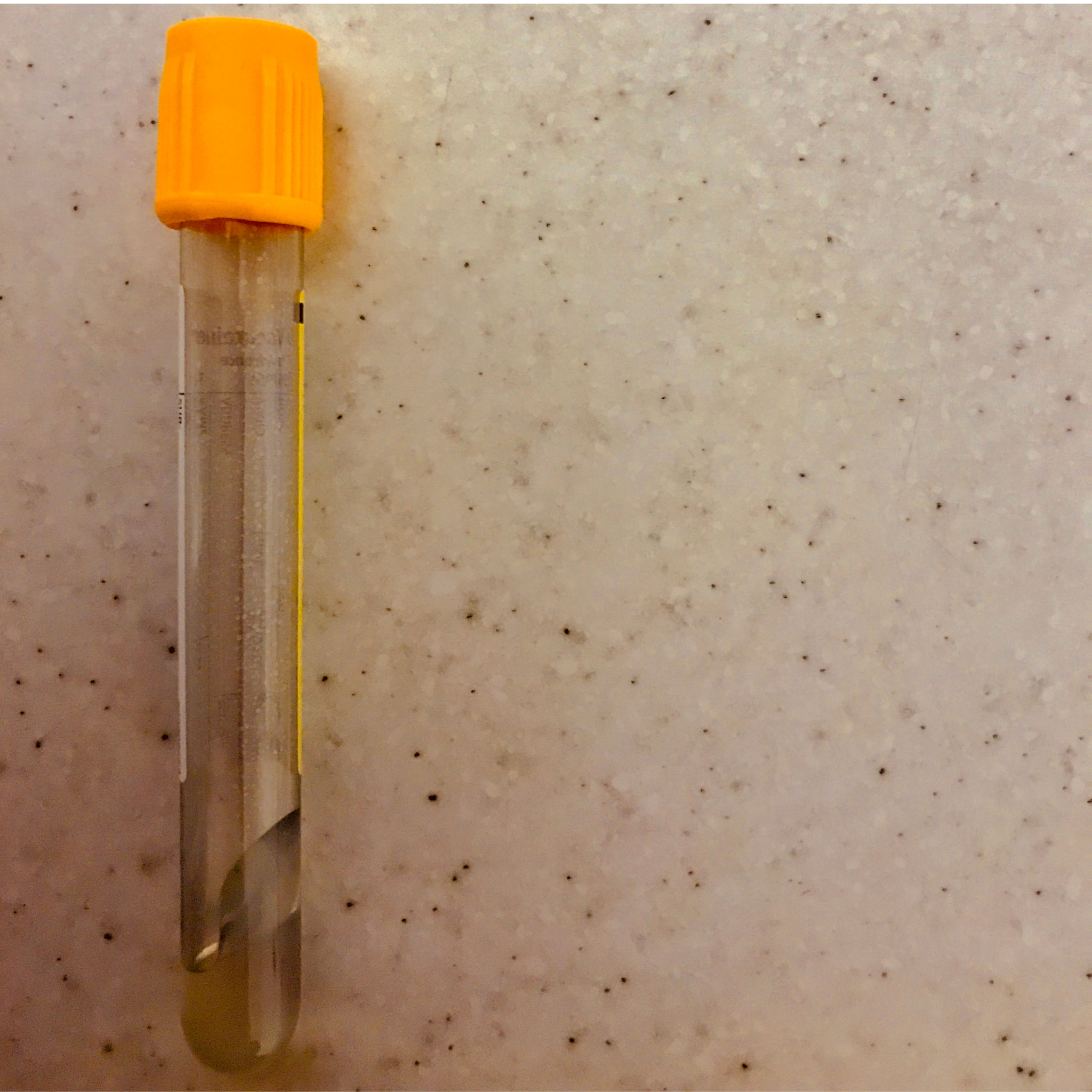 Single Serum Hormone